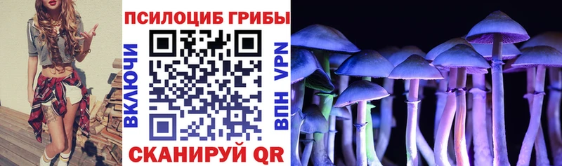 блэк спрут tor  Эртиль  Галлюциногенные грибы прущие грибы 