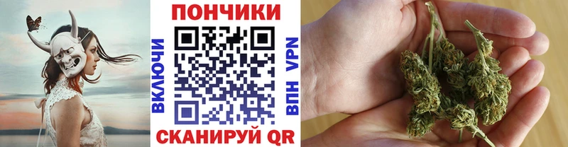 Конопля сатива  shop Telegram  Эртиль 